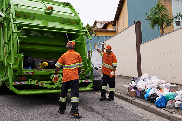 Best Shed Removal in Manche Village, CA